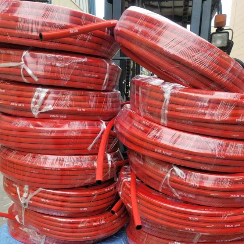 Maintenance of steam hose